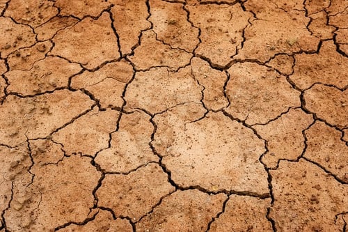Sequía en el terreno