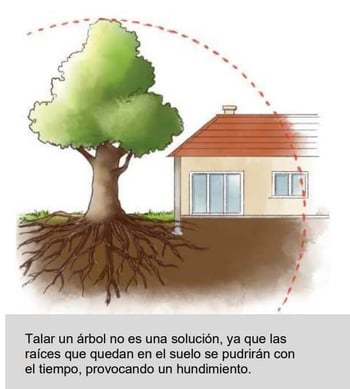 Problemas de la vegetación