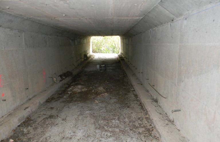 Zona de la intervención