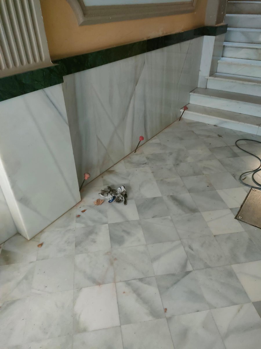 Inyecciones de resina en el interior del portal de la comunidad de vecinos