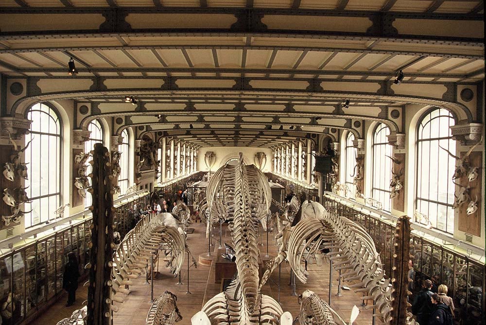 Interior del museo