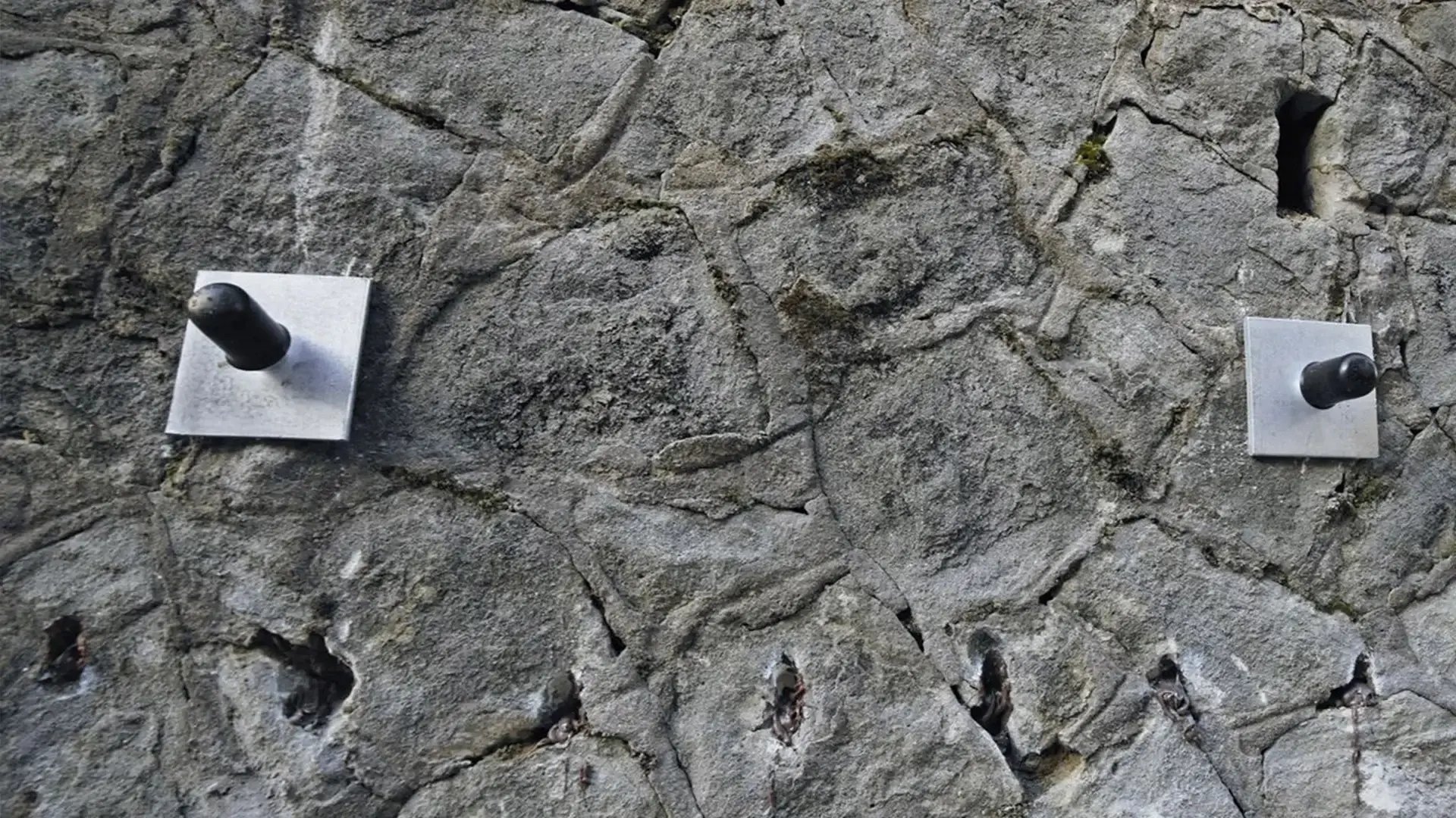 Colocación de la placa y la cubierta protectora