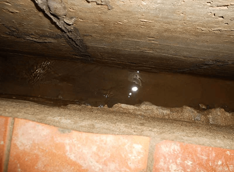 Filtración de agua a través de los muros