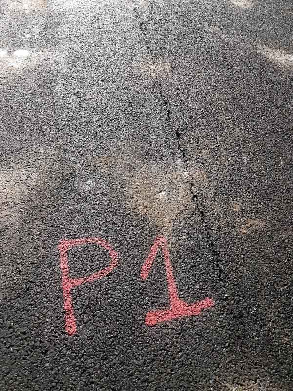 Zona del primer ensayo