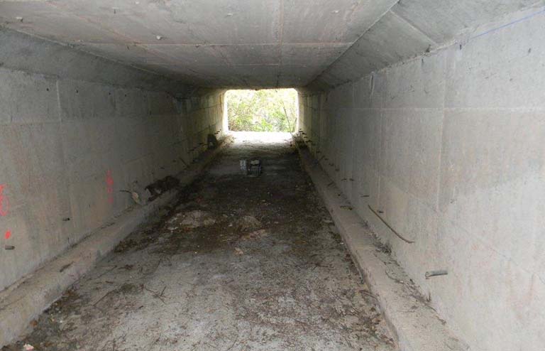 Zona de la intervención