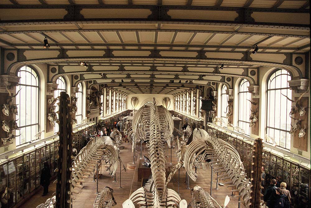 Interior del museo